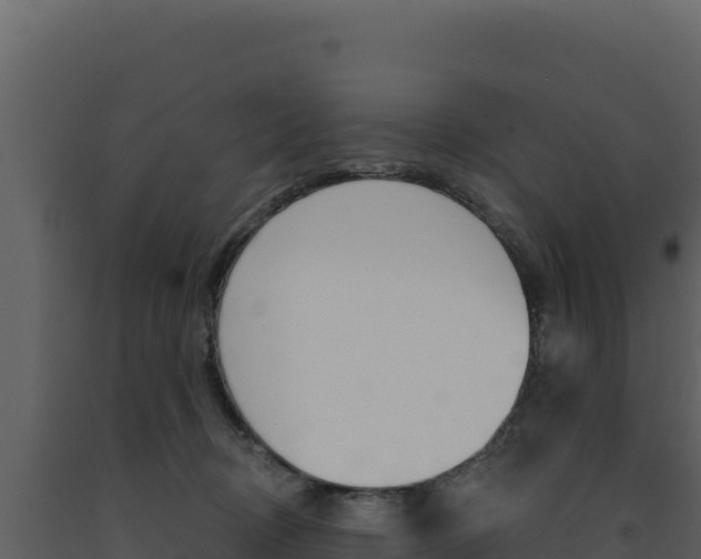 X0000091730370200708241049