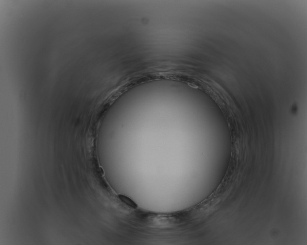 X0000091730372200708241049