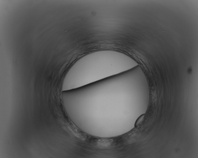 X0000091730373200708241049