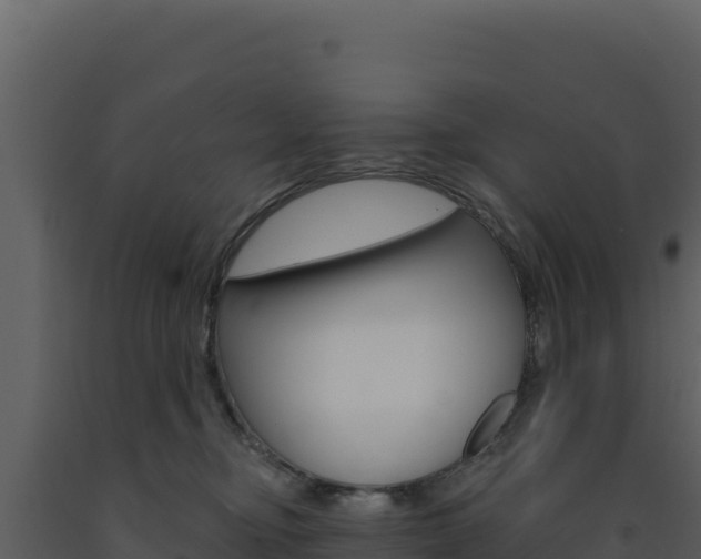 X0000091730374200708241049