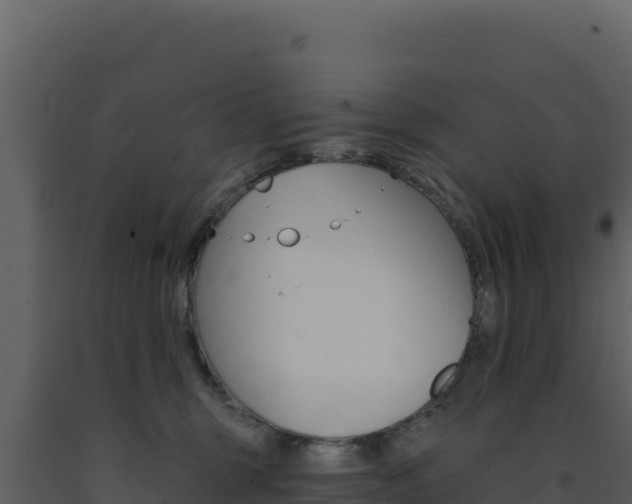 X0000091730375200708241049