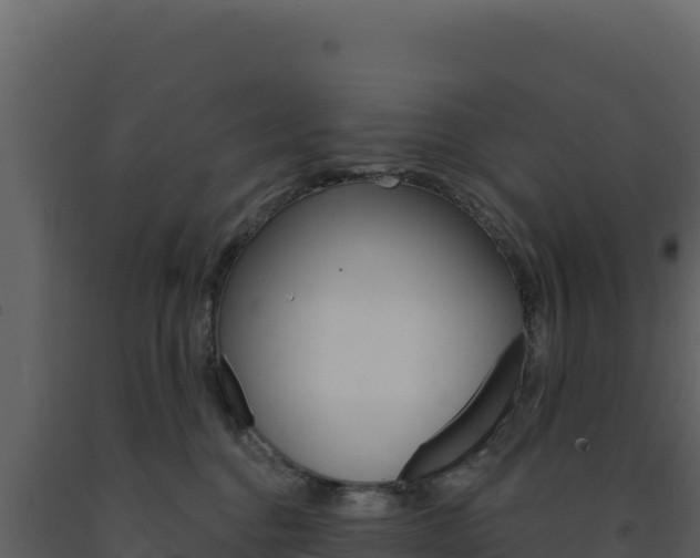 X0000091730376200708241049