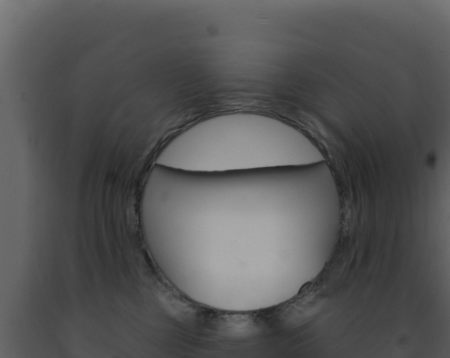 X0000091730377200708241049
