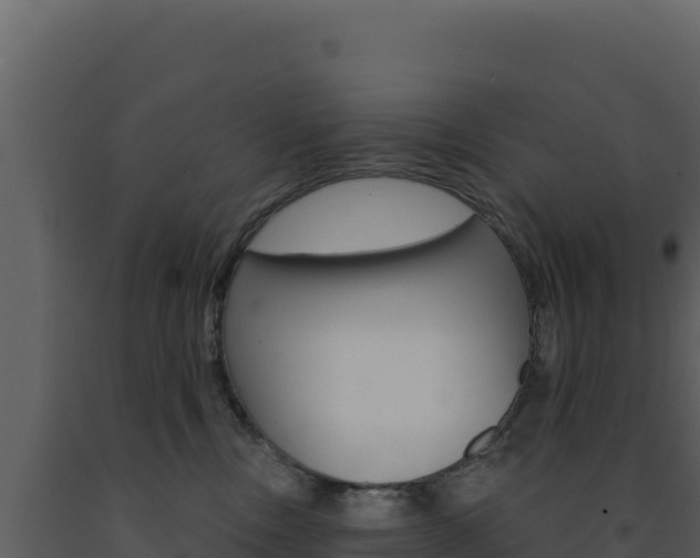X0000091730378200708241049