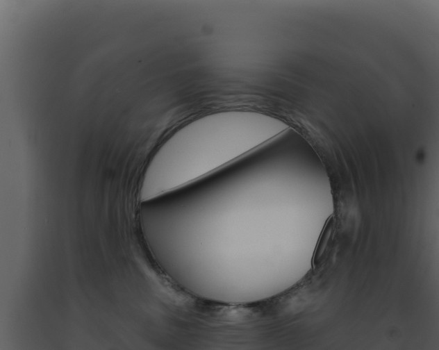 X0000091730379200708241049
