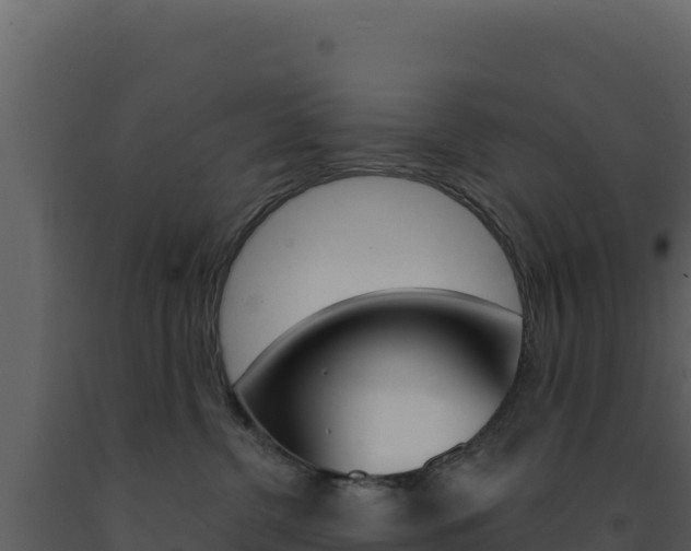 X0000091730380200708241049