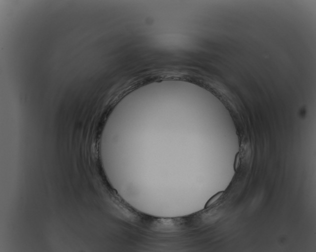 X0000091730381200708241049