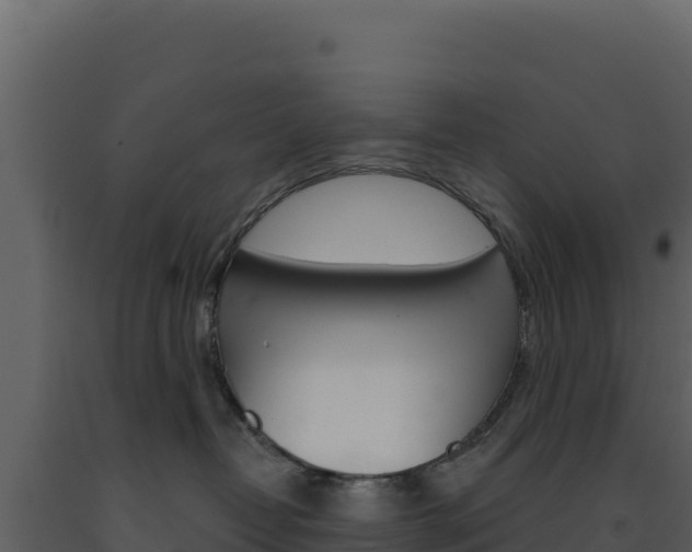 X0000091730382200708241050