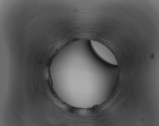X0000091730383200708241050
