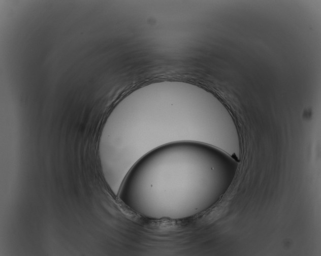 X0000091730384200708241050