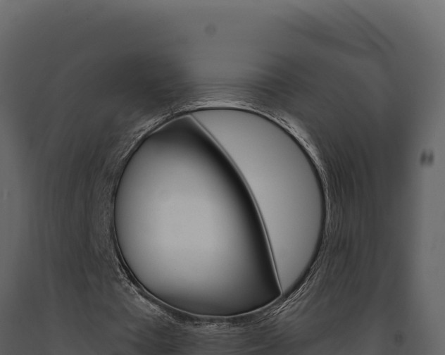 X0000091730385200708241049