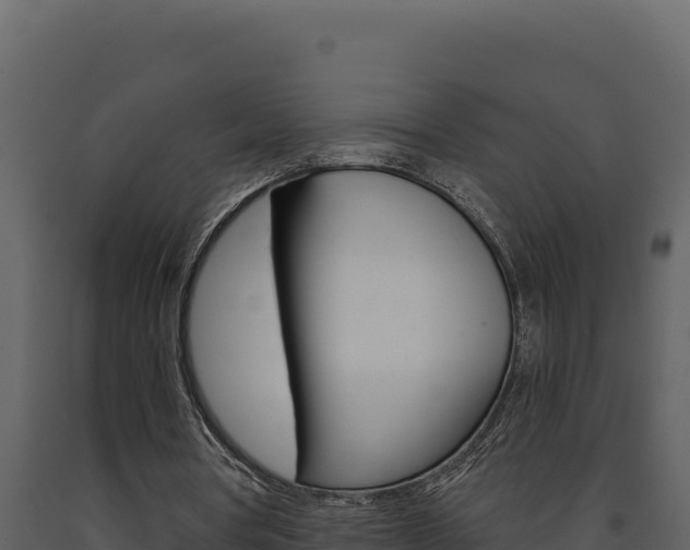 X0000091730386200708241049