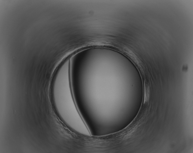 X0000091730387200708241049