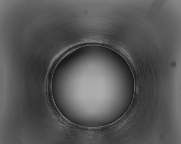 X0000091730388200708241049