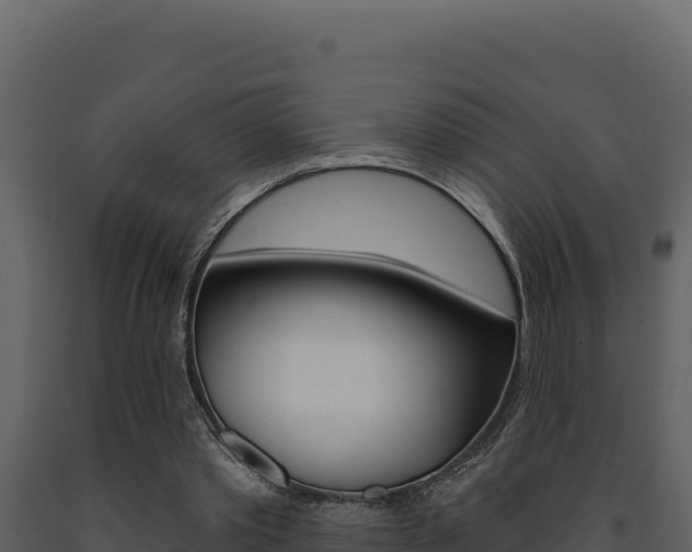 X0000091730389200708241049