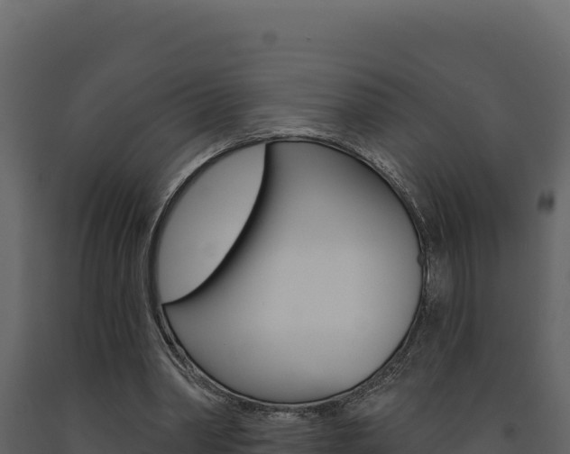 X0000091730390200708241049