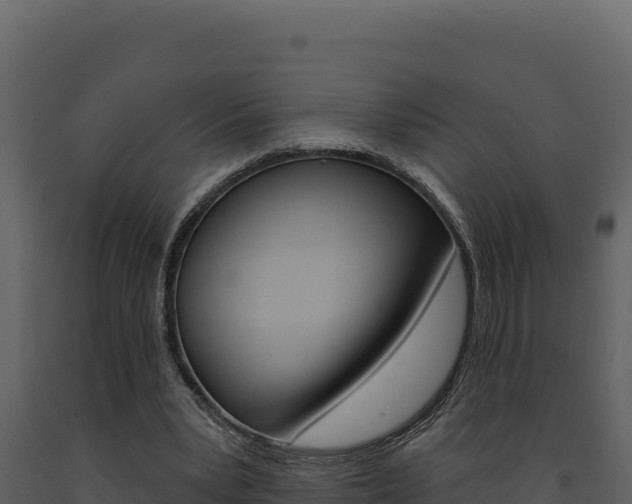 X0000091730391200708241049