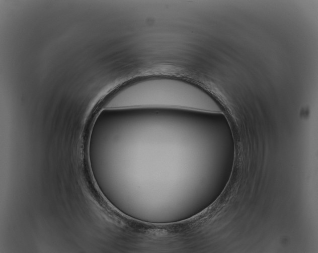 X0000091730392200708241049