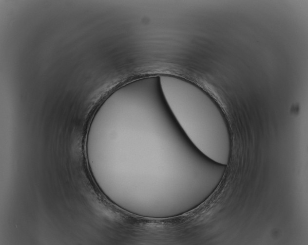 X0000091730394200708241049