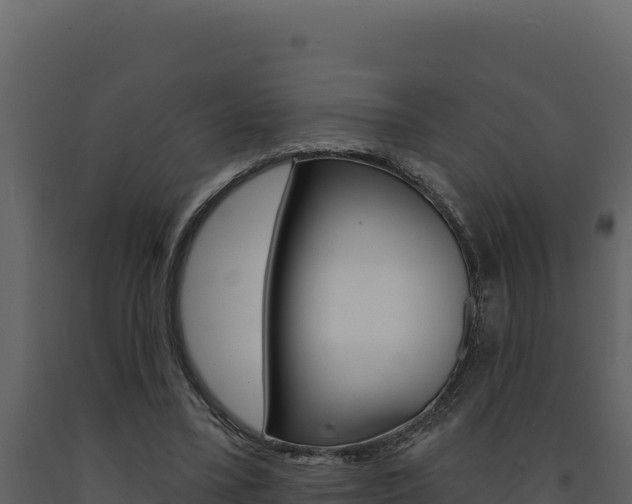 X0000091730395200708241049