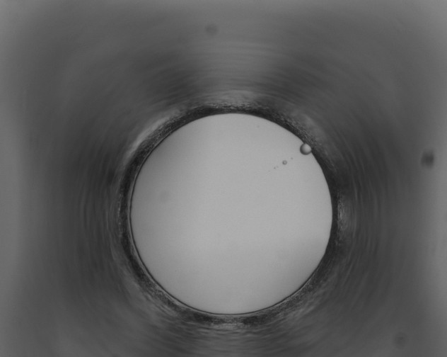 X0000091730396200708241049