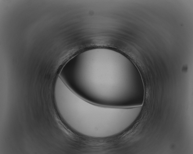 X0000091730397200708241049