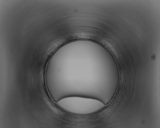 X0000091730398200708241049