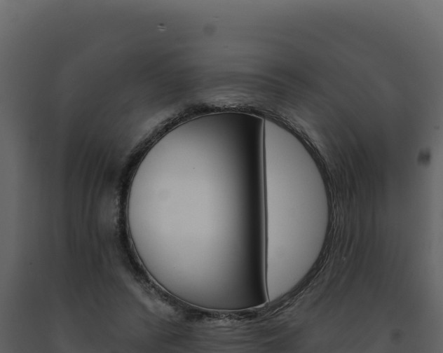 X0000091730400200708241049