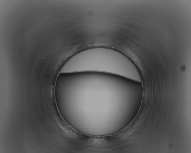 X0000091730401200708241049