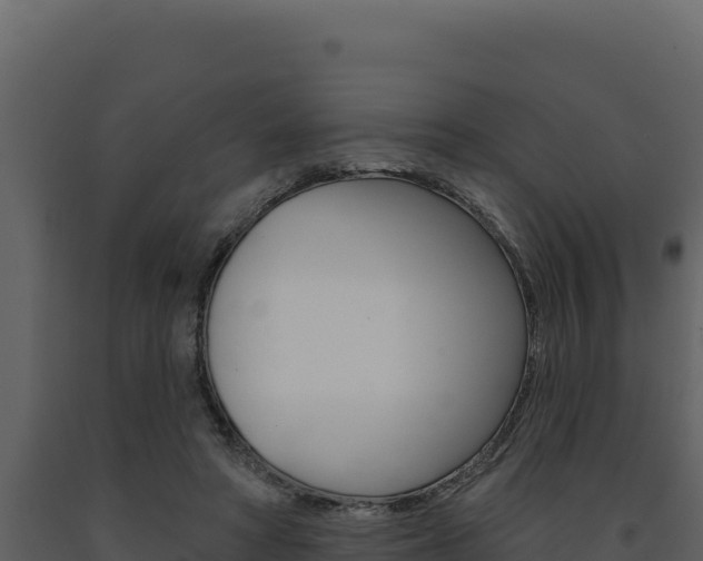 X0000091730402200708241049