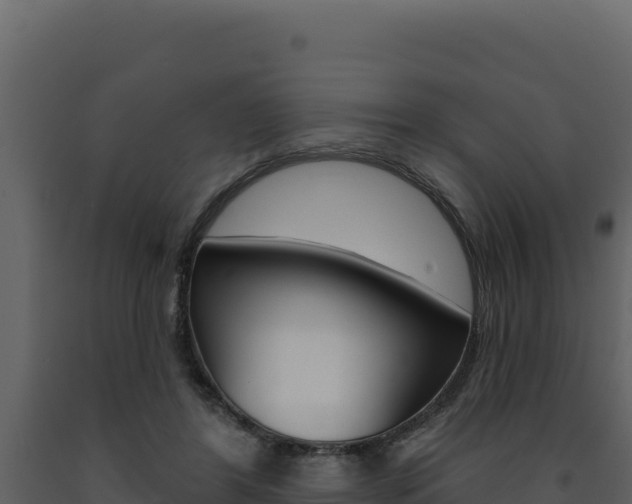 X0000091730404200708241048