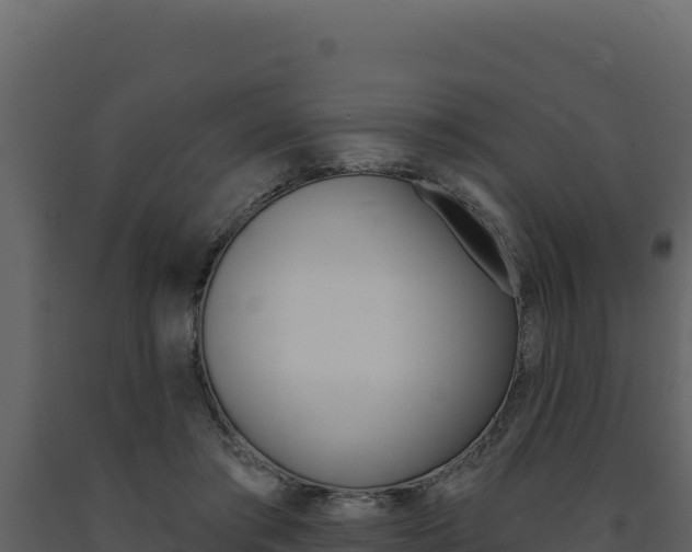 X0000091730405200708241048