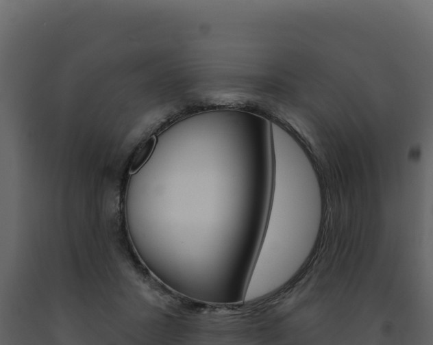 X0000091730407200708241048