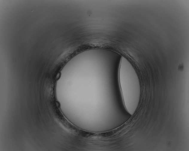 X0000091730408200708241048