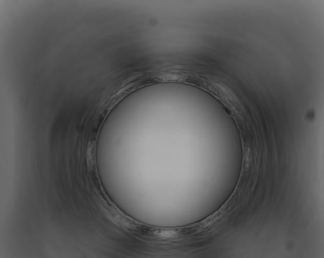 X0000091730409200708241048