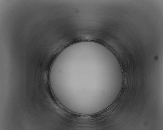 X0000091730410200708241048