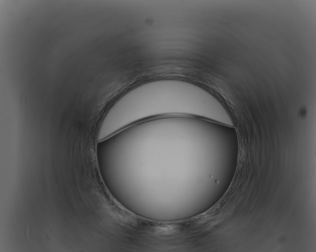 X0000091730411200708241048