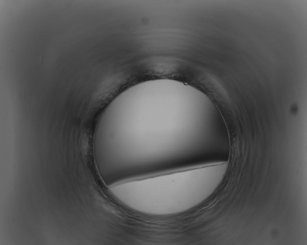 X0000091730412200708241048