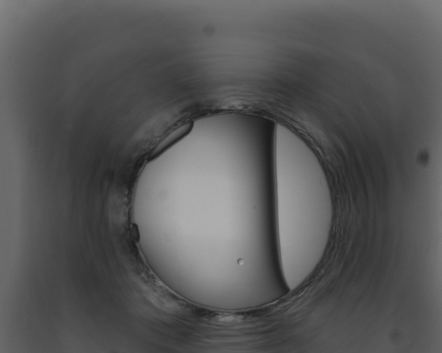 X0000091730413200708241048