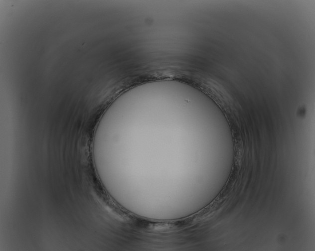 X0000091730414200708241048