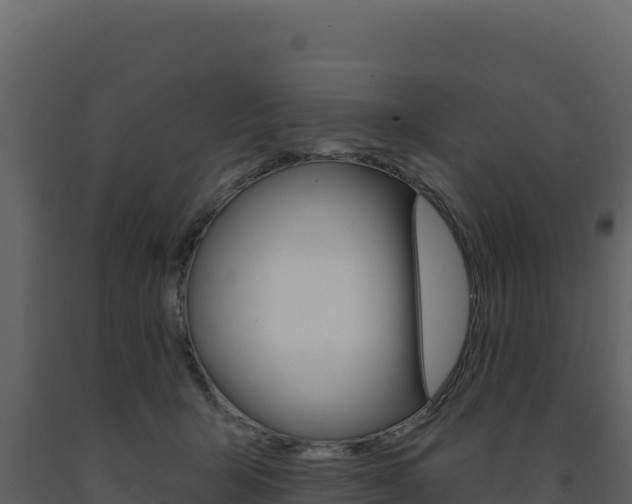 X0000091730415200708241048