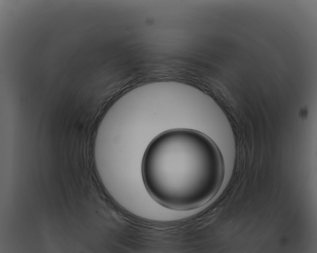 X0000091730416200708241048