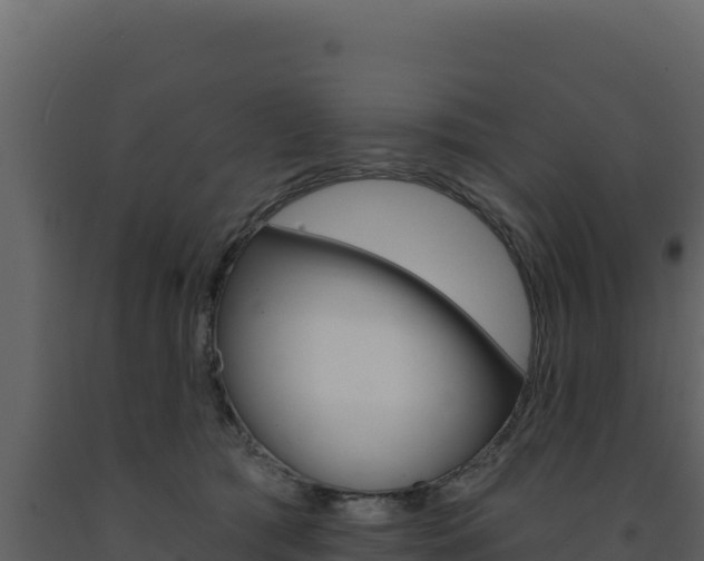 X0000091730417200708241048