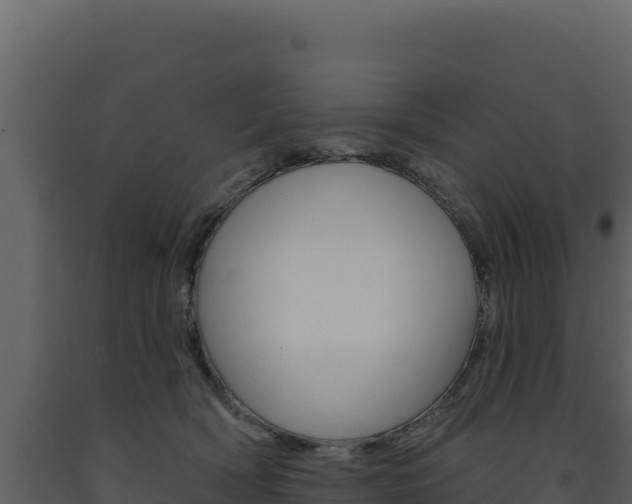 X0000091730418200708241048
