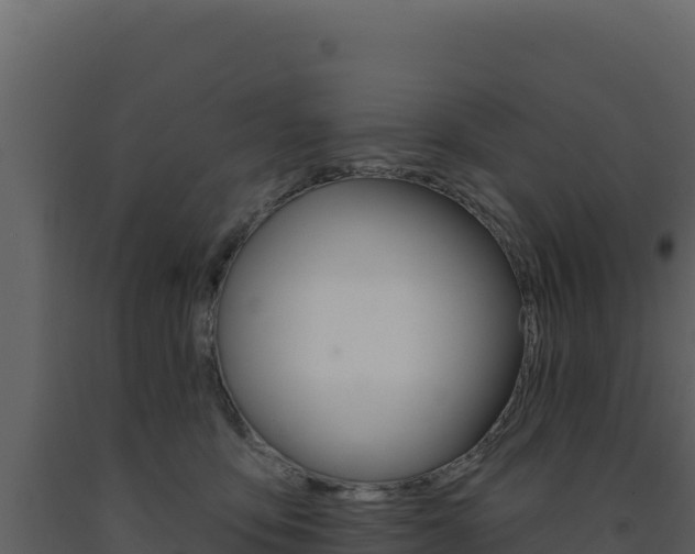 X0000091730419200708241048