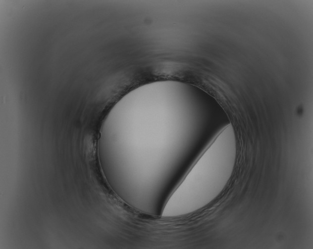 X0000091730420200708241048