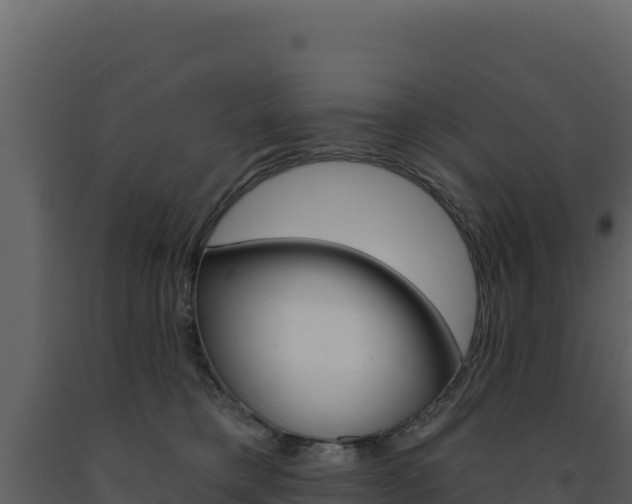 X0000091730421200708241048