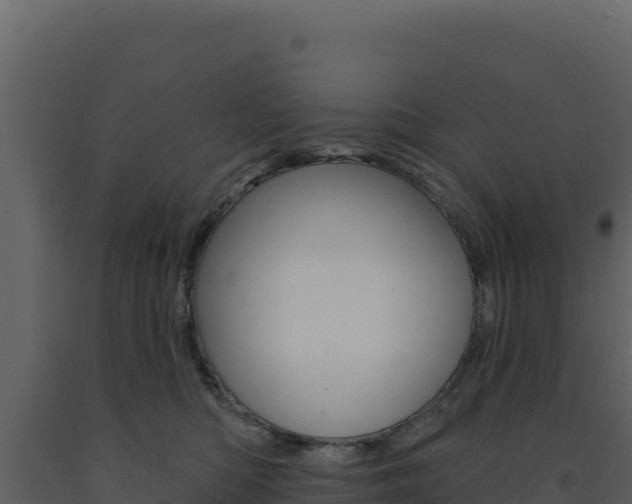 X0000091730422200708241048