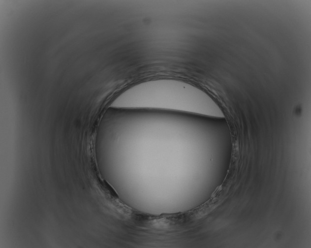 X0000091730423200708241048