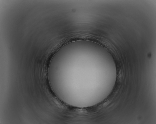 X0000091730424200708241048